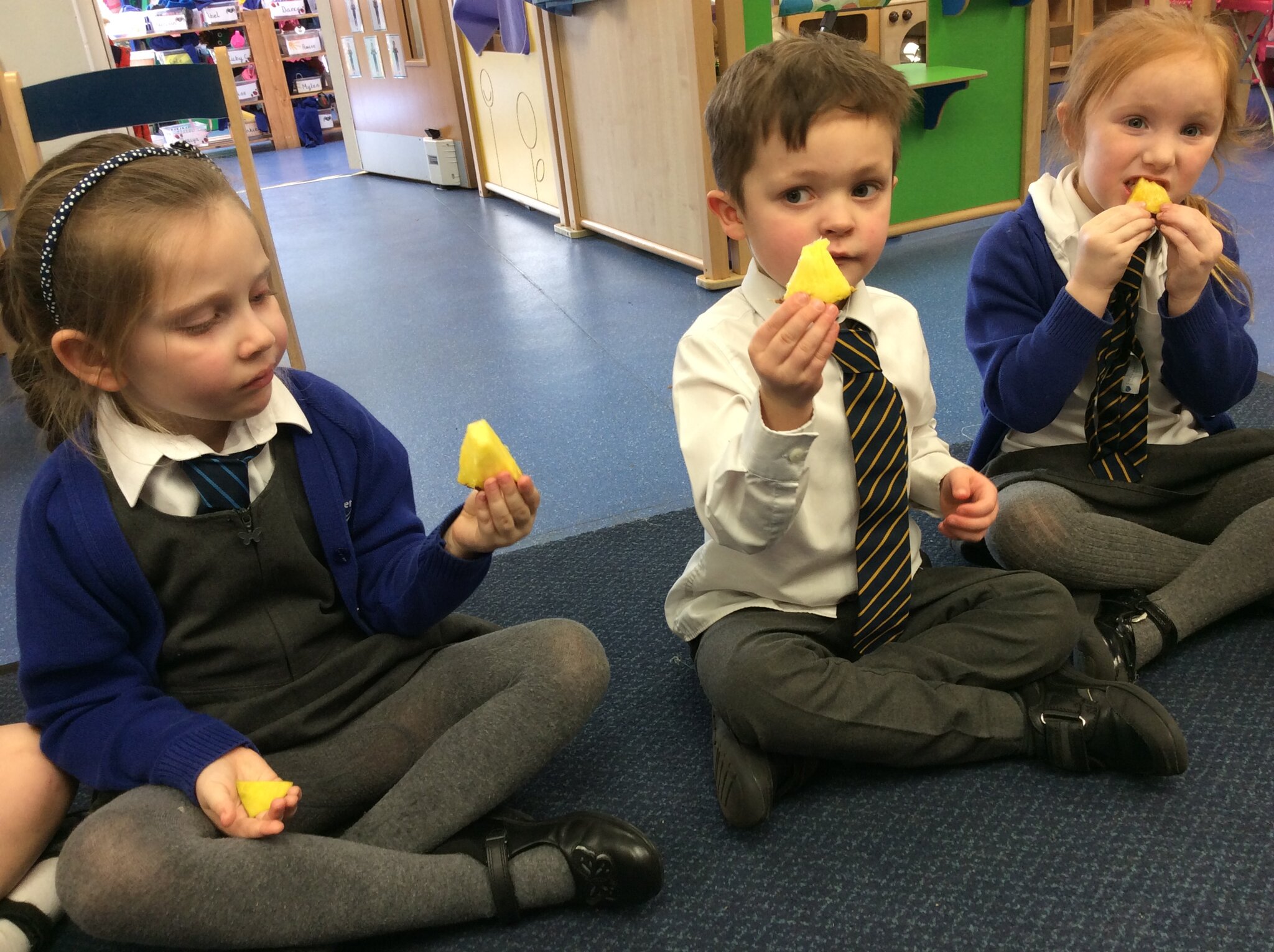 Image of Tasting Tropical Fruit